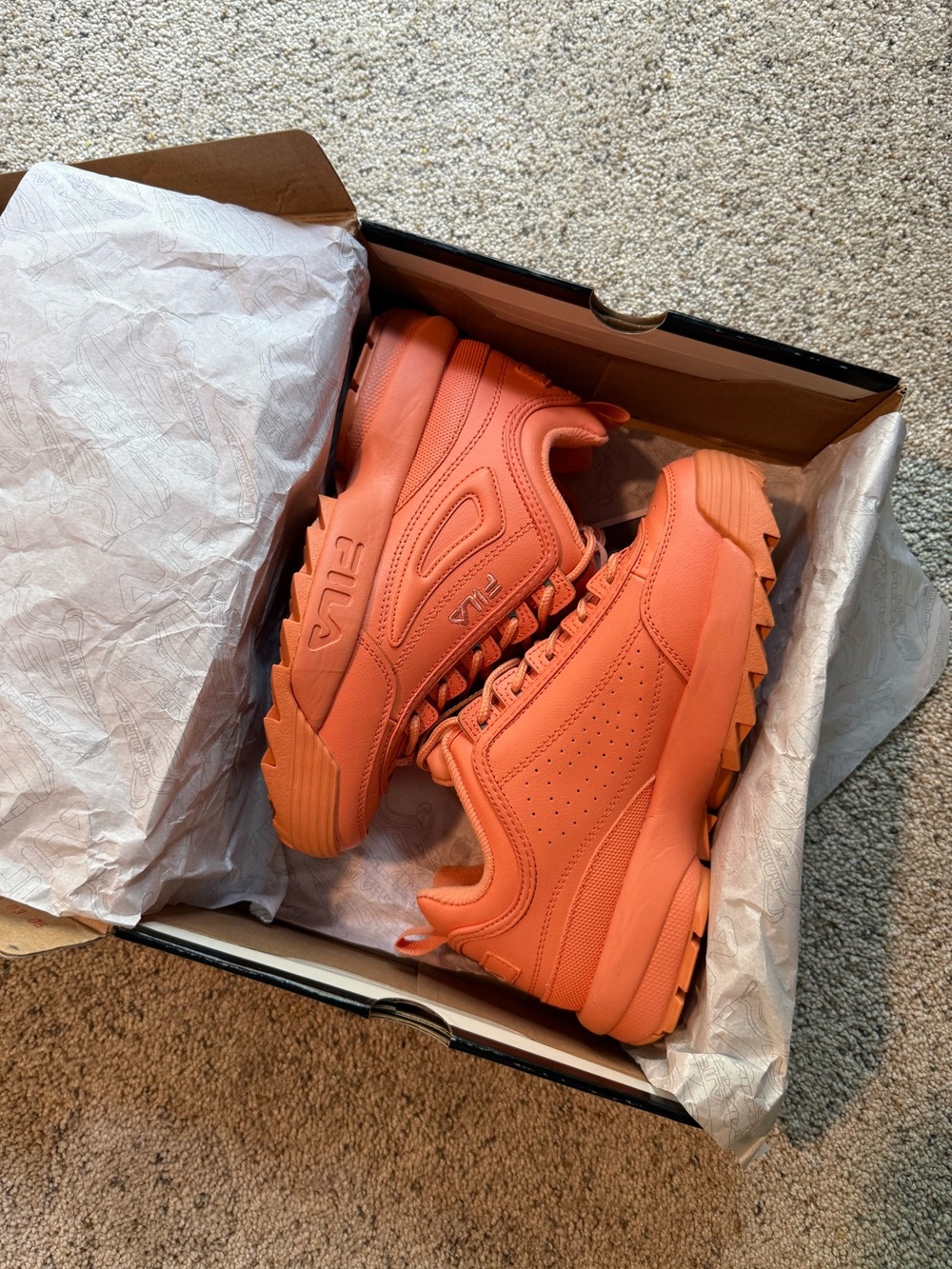 Filas Disruptor II